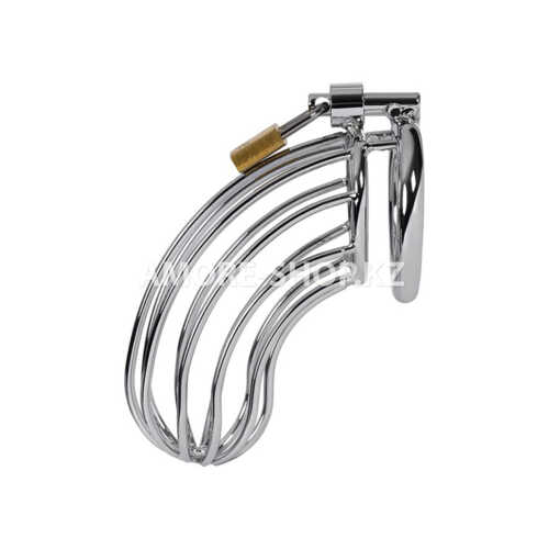 Пояс верности мужской TOYFA Metal, серебряный 3
