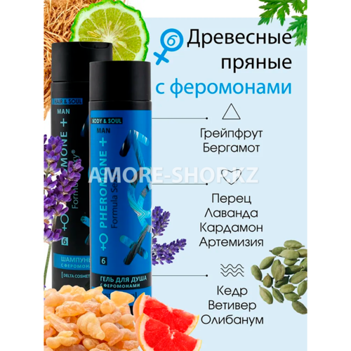 Косметический набор для муж. Formula Sexy №6 (гель для душа 250 мл + шампунь 250 мл) 2