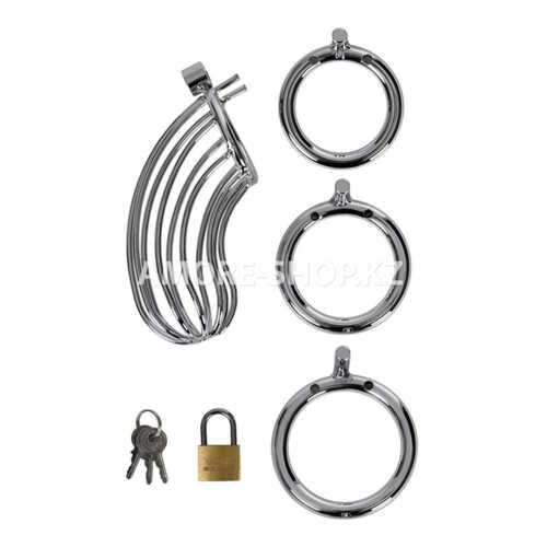 Пояс верности мужской TOYFA Metal, серебряный 5