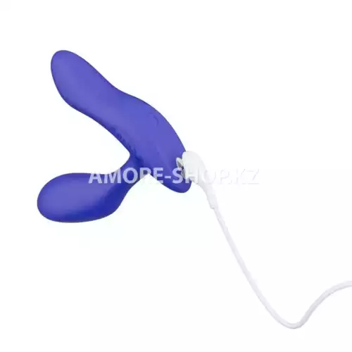 WE-VIBE Регулируемый массажер простаты Vector индиго 3