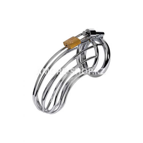 Пояс верности мужской TOYFA Metal, серебряный 1